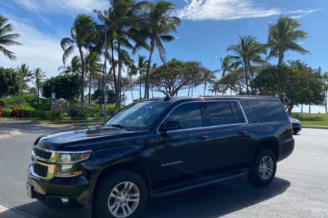 Private Round-Trip Transfer: Maui Kahului Airport to Maui Hotels - Key points that matter before you book