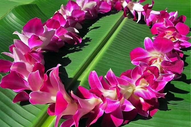 Private Round-Trip Transfer: Maui Kahului Airport to Maui Hotels - Price vs. peace of mind: is $177.50 per group a smart deal?