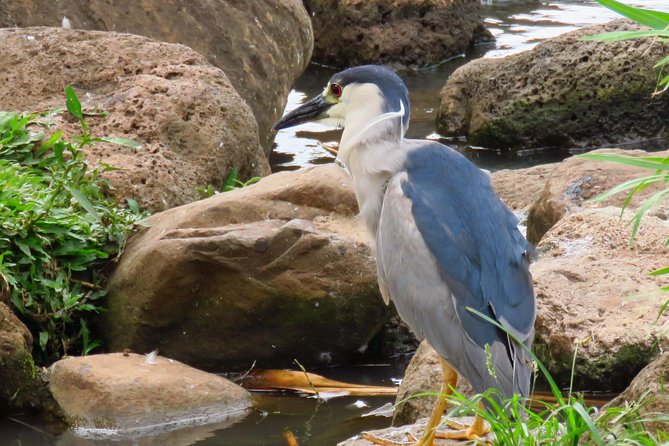 Private Shore Excursion: Best Highlights of Maui - Stop 3: Maui Ocean Center time—what’s included vs. what you pay