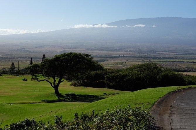Private Shore Excursion: Best Highlights of Maui - Snacks and the real pace of a private tour