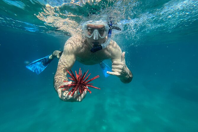 Private Snorkel Photos Included - Meeting at 4500 Makena Rd: The Simple Logistics That Save Headaches