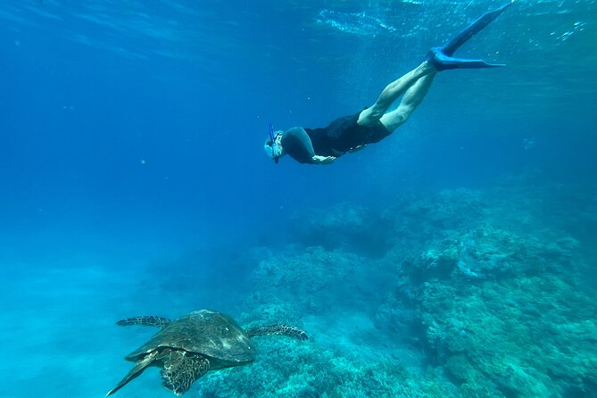 Private Snorkel Photos Included - Your Guide Matters: How the Tour Supports First-Timers (and Nervous Swimmers)