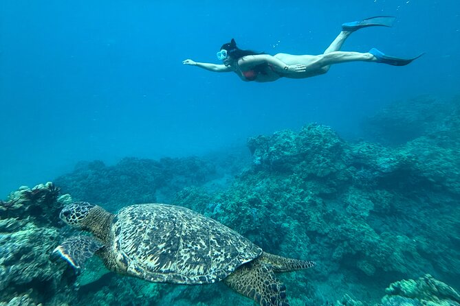 Private Snorkel Photos Included - Reef Spot Selection: Why Conditions Change and the Route Can Follow Them
