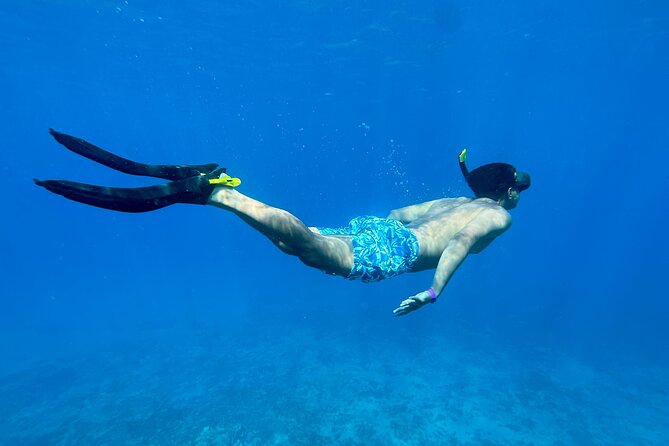 Private Snorkel Photos Included - Price and Value: Is $155 Per Person Actually Reasonable?