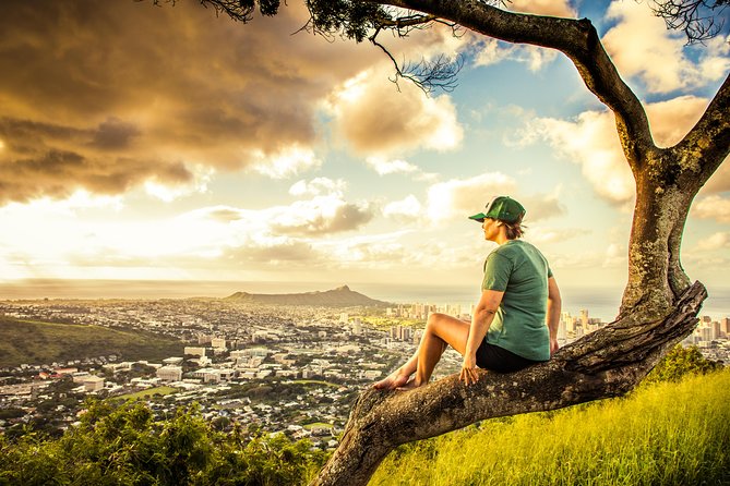 Private South Shore of Oahu Tour - Kualoa Regional Park: Film-Location Vistas and Easy Photo Stops