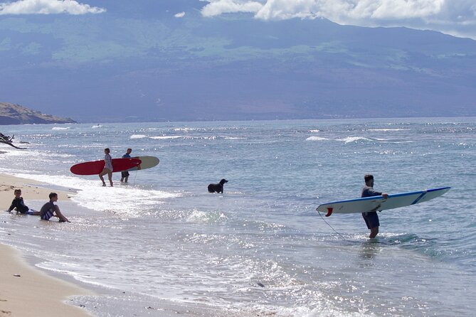 Private Surf Lesson for One Near Lahaina - Price and Value: Is $228.11 Reasonable for a Private Lesson?