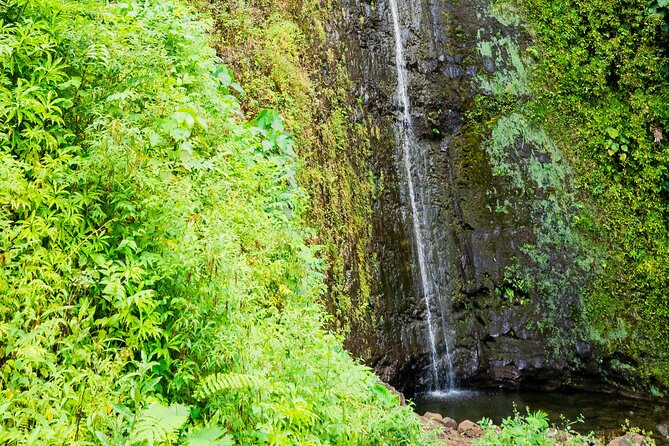 PRIVATE TOUR-Hike Diamond Head & Hawaiian Waterfall - Price Check: Is $107 a Good Deal for Two Iconic Hikes?