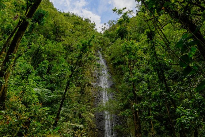 PRIVATE TOUR-Hike Diamond Head & Hawaiian Waterfall - Quick Practical Tips Before You Go