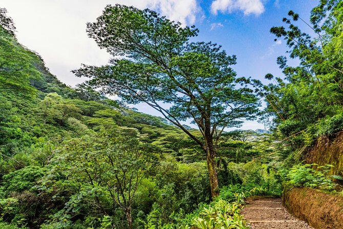 PRIVATE TOUR-Hike Diamond Head & Hawaiian Waterfall - Diamond Head Crater: Stairs, Views, and Volcano Vibes