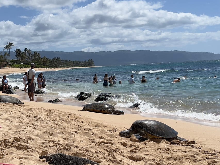Private Tour Oahu-Circle Island-Customizable - Your ride and guide setup: Honda Odyssey comfort plus real photo help