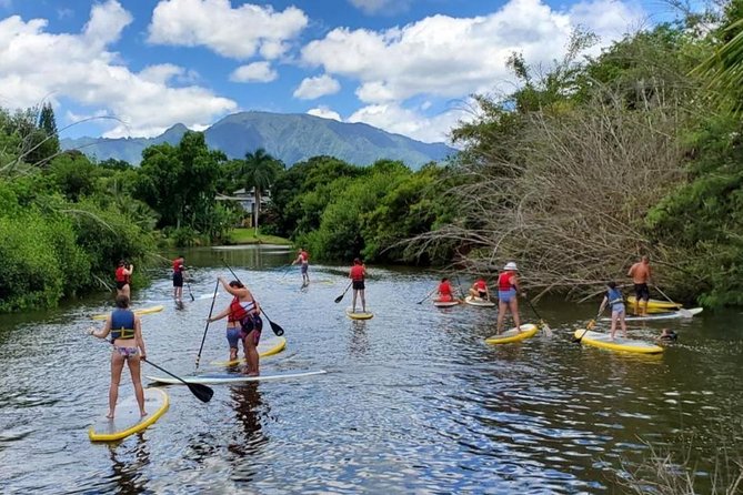 Private Tour Oahu Circle Island - Fully Personalized Experience - North Shore First Stop: Coast Views, Turtle-Friendly Water Time, and Stories
