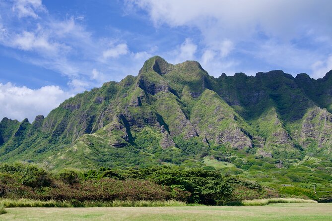 Private Tour Oahu including Waimea Waterfall-Customizable - Waikiki kickoff: Kalakaua Avenue and Kapiolani Park as your orientation