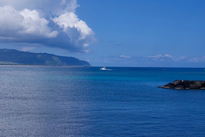 Private Tour Oahu including Waimea Waterfall-Customizable - North Shore stop: Haleiwa Beach Park and the turtle-spotting vibe