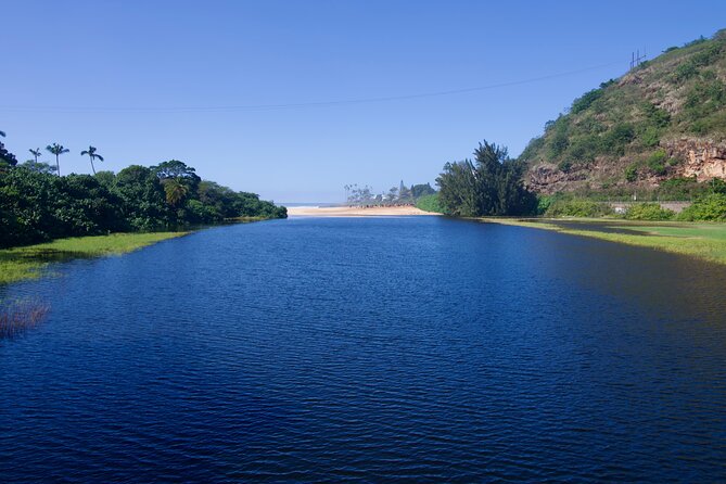 Private Tour Oahu including Waimea Waterfall-Customizable - Windward coast viewpoints: monk seals, sea views, and big cliff angles