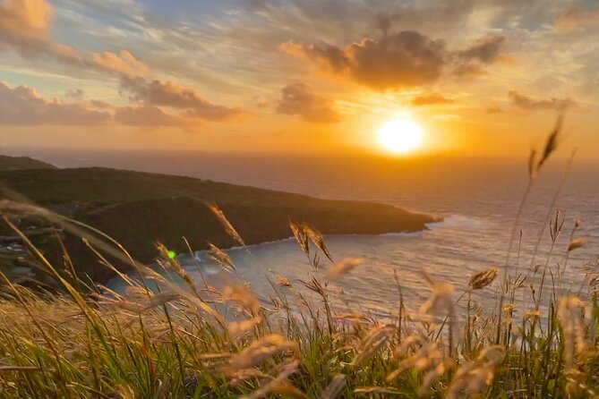 Private Tour Oahu - up to 6 passengers - Customizable - Hanauma Bay: Iconic Views, Clear Rules, No Snorkeling Here