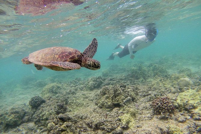 Private Tour of Oahu for 6 to 11 people - up to 8 hours - Snorkel gear, coolers with ice, and the reality of tides