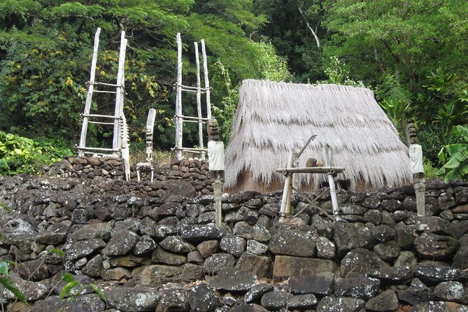 Private Tour of Oahu for 6 to 11 people - up to 8 hours - Family-friendly by design (car seats, patience, and a no-rush feel)