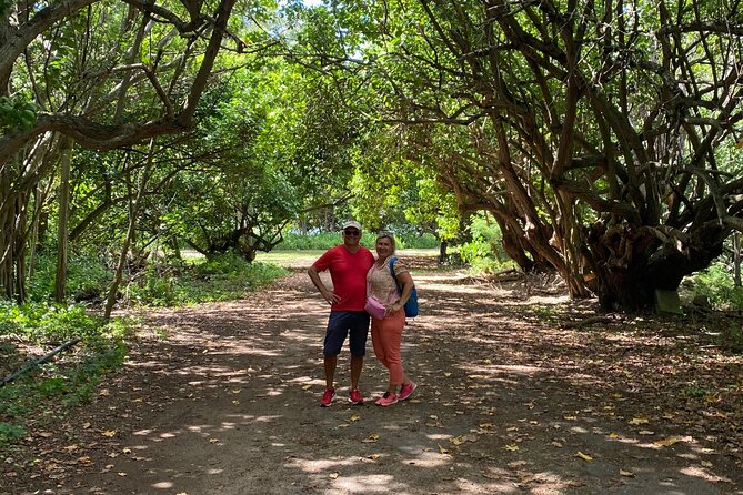 PRIVATE TOUR-Ultimate North Shore Experience - Turtle Bay Beach: Snorkeling Gear Included When Conditions Allow