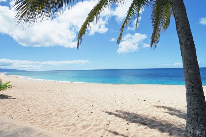 PRIVATE TOUR-Ultimate North Shore Experience - Haleiwa Town Center: Surf Culture, Art, Shopping, and Local Food Energy