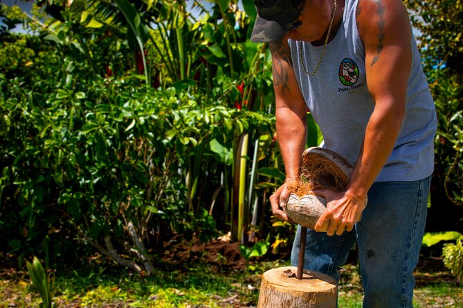 Pueo Farm Tour (1.5 hr) Upcountry Kula Maui Hawaii - A farm tour that’s more than a walk-and-look