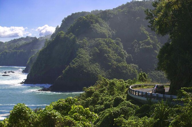 Rappel Maui Waterfalls and Rainforest Cliffs - Key things you’ll notice fast