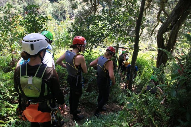 Rappel Maui Waterfalls and Rainforest Cliffs - Price and value: what $240.84 buys you