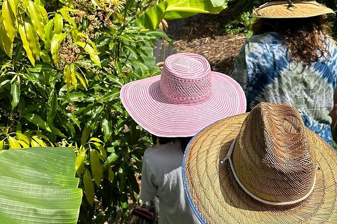 Regenerative Mango and Tropical Fruit Tour in West Maui - Key Highlights You’ll Want on Your Radar