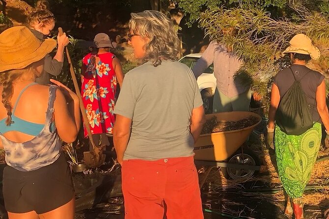 Regenerative Mango and Tropical Fruit Tour in West Maui - Your Time After the Tour: Sunset Photos and Casual Exploring