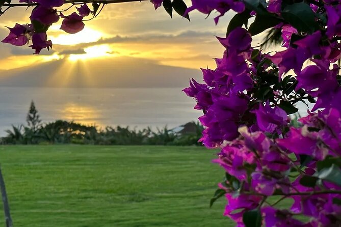 Regenerative Mango and Tropical Fruit Tour in West Maui - Price and Why This Tour Feels Worth It