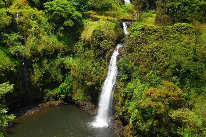 Road To Hana Black Sand Beach Waterfalls & Turtles Tour - Why Take a Van Instead of Driving the Hana Highway