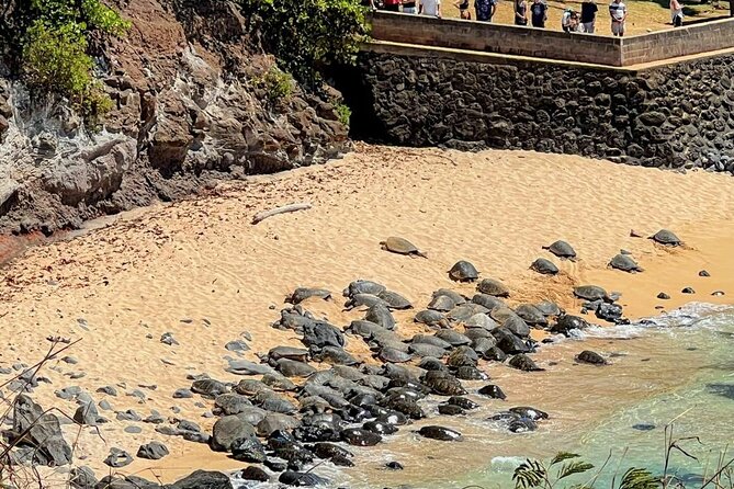 Road To Hana Black Sand Beach Waterfalls & Turtles Tour - Ho’okipa Beach Park: Sea Turtles and Wind-Surf Sightlines (30 Minutes)