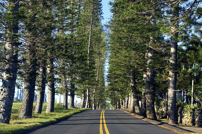 Road to Hana: Full-Day Scenic Drive with Blacksand & Waterfalls - Ho‘okipa Beach Park: wind, surfers, and sea turtles at the edge of the day
