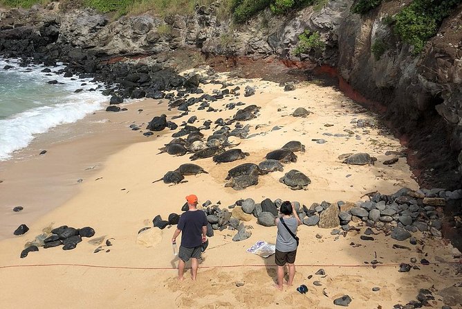 Road to Hana: Full-Day Scenic Drive with Blacksand & Waterfalls - Bamboo forest moments and the Ke‘anae connection: local life along the road