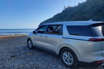 Road to Hana Full Day Tour with A Guide - Price and value for a private group up to 7