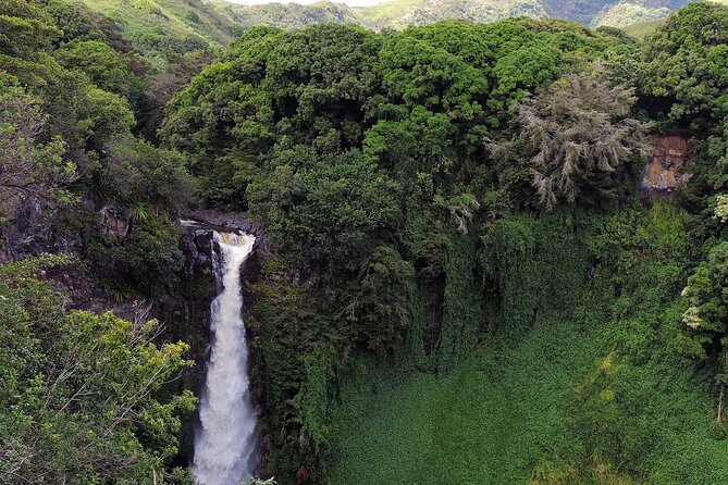 Road to Hana Full Day Tour with A Guide - Who this tour fits best
