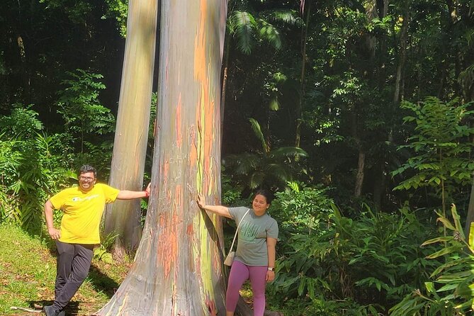 Road to Hana Full Day Tour with A Guide - A few considerations before you book