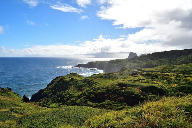 Road to Hana Full Day Tour with A Guide - Should you book this Road to Hana private tour?