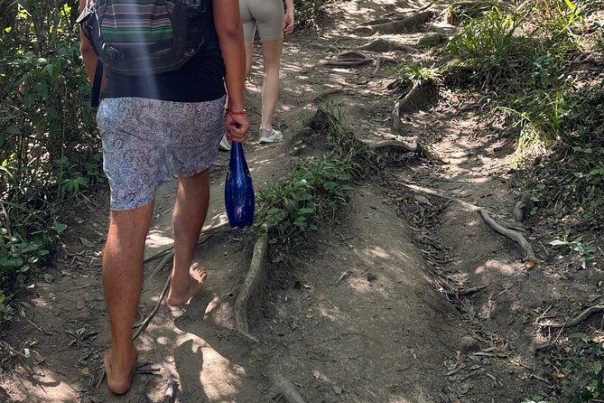 Road to Hana Maui Tours - Waterfalls and Lookouts Before the Coast Hits
