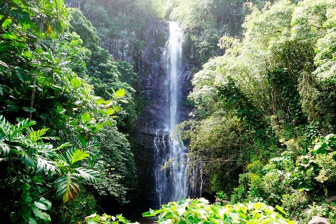 Road to Hana Rainforest, Black Sand Beach, Waterfalls & Lunch - Wai’anapanapa State Park: the lunch that anchors the best scenery