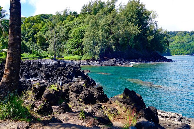 Road to Hana Rainforest, Black Sand Beach, Waterfalls & Lunch - Price and logistics: is $245.99 worth it for you?