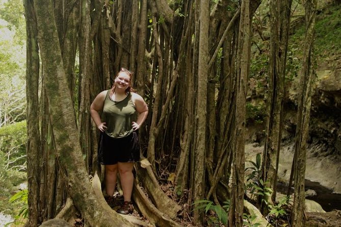 Road to Hana Tour - Ho’okipa Beach Park: Turtles, Surf Energy, and a Short Photo Window