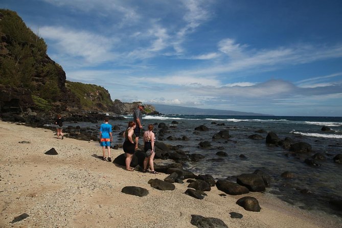 Road to Hana Tour - Waikamoi Ridge Trail: Ocean Views Plus Maui’s Plant Life