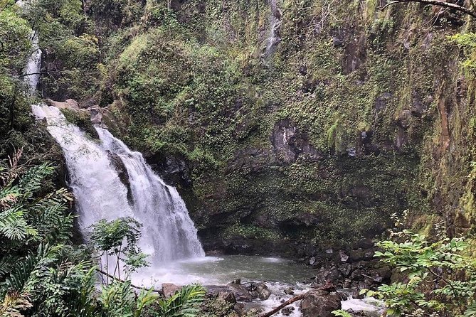 Road to Hana Tour - Best of Maui - Why This Hana Day Feels Easier Than Driving It Yourself