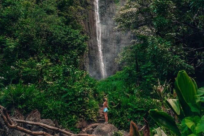 Road to Hana Tour - Best of Maui - The Guides Make the Day: Stories, Rapport, and Flexibility