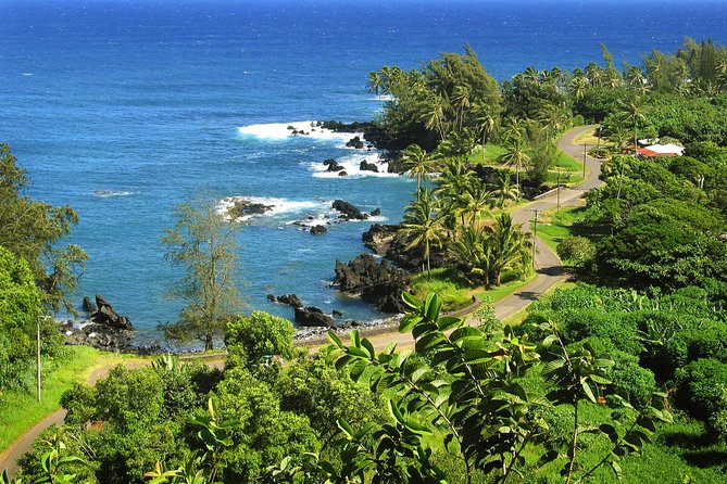 Road to Hana Tour with Lunch and Pickup - The biggest value: someone else drives Hana
