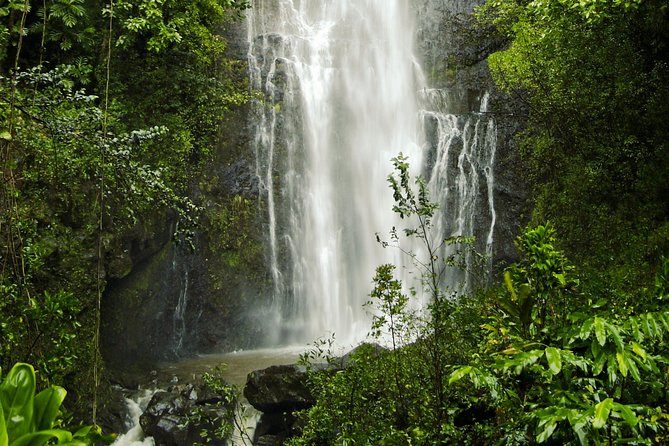 Road to Hana Tour with Lunch and Pickup - Ke‘anae Point: the Peninsula stretch and its photo pull