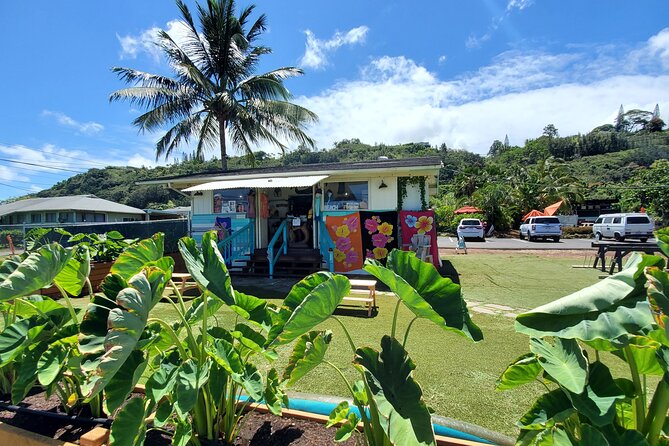 Round Trip North Shore Shuttle from Waikiki to Haleiwa Town / Haleiwa Harbor - Pickup in Waikiki: Simple, Timed, and Actually Useful