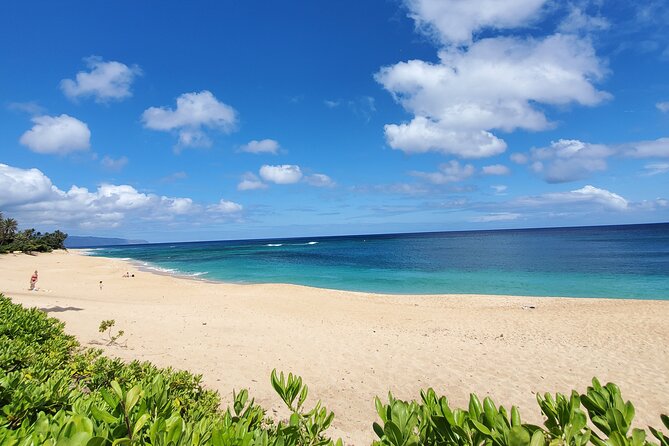 Round Trip North Shore Shuttle from Waikiki to Haleiwa Town / Haleiwa Harbor - Haleiwa Boat Harbor: Best Orientation for a Water-Forward Day