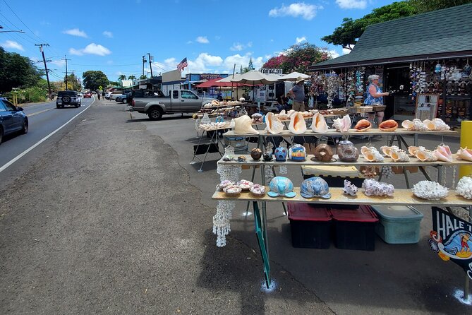 Round Trip North Shore Shuttle from Waikiki to Haleiwa Town / Haleiwa Harbor - Should You Book the North Shore Shuttle From Waikiki?
