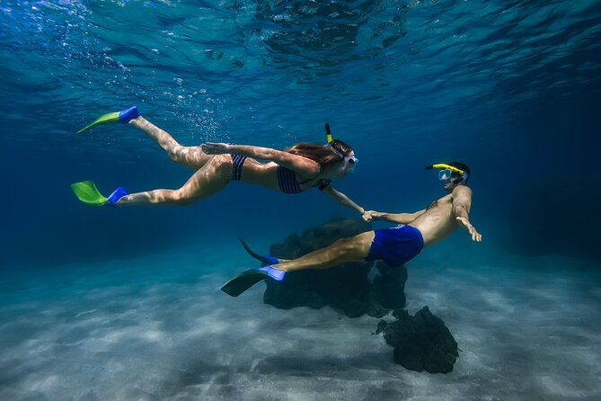 Scenic Coastal Adventure In 4x4 With Turtle Town Snorkel + Photos - Key things to know before you go